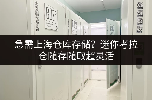 急需上海仓库存储?迷你考拉仓随存随取超灵活 急需上海仓库存储?迷你考拉仓随存随取超灵活