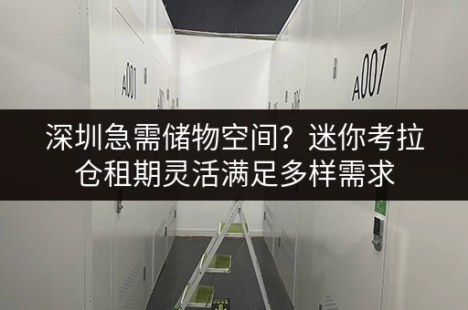 深圳急需储物空间?迷你考拉仓租期灵活满足多样需求 深圳急需储物空间?迷你考拉仓租期灵活满足多样需求