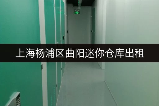 上海杨浦区曲阳迷你仓库出租，24 小时监控保障物品安全