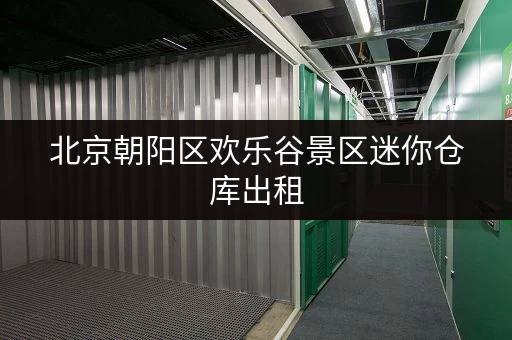 北京朝阳区欢乐谷景区迷你仓库出租，上门取送一站式服务