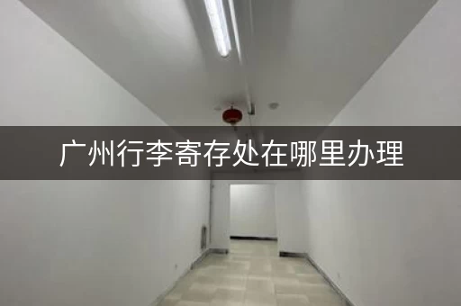 广州行李寄存处在哪里办理，广州寄存行李箱的地方