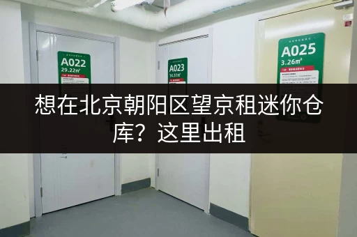 想在北京朝阳区望京租迷你仓库？这里出租，租期灵活