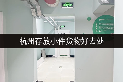 杭州存放小件货物好去处，迷你考拉仓环境好无中介