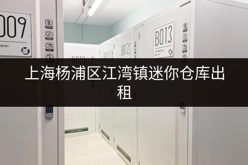上海杨浦区江湾镇迷你仓库出租，电商存货家庭储物好选择