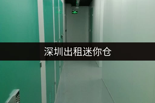 深圳出租迷你仓，环境好交通便利，个人闲置物品存放首选