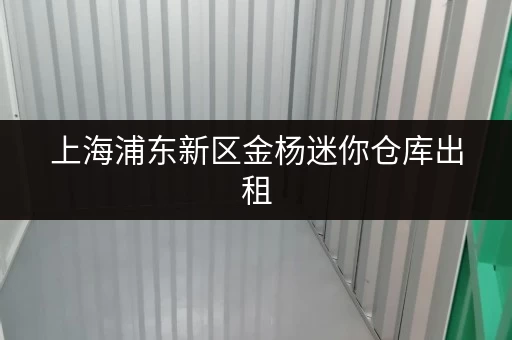 上海浦东新区金杨迷你仓库出租，装修搬家时的临时仓储好地方