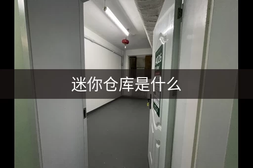 迷你仓库是什么，迷你仓库怎么做的视频