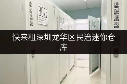 快来租深圳龙华区民治迷你仓库，多种仓型任你自由选择