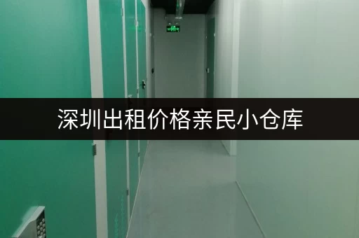 深圳出租价格亲民小仓库，24 小时监控存取超方便