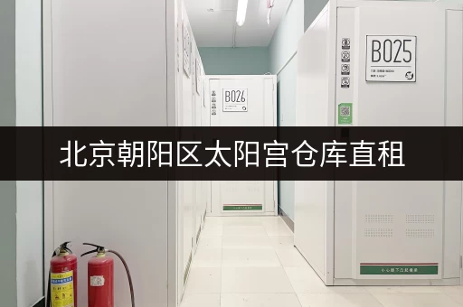 北京朝阳区太阳宫仓库直租，迷你考拉仓满足个人企业存储需求！