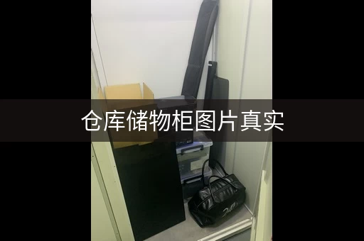 仓库储物柜图片真实，仓库储物柜图片效果图