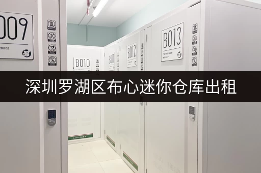 深圳罗湖区布心迷你仓库出租，提供一站式物品存储方案超贴心