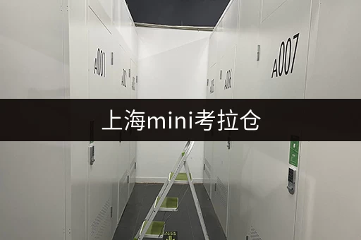 上海mini考拉仓,仓储服务灵活又安全,别错过! 上海mini考拉仓,仓储服务灵活又安全,别错过!