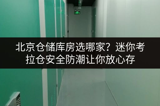 北京仓储库房选哪家？迷你考拉仓安全防潮让你放心存