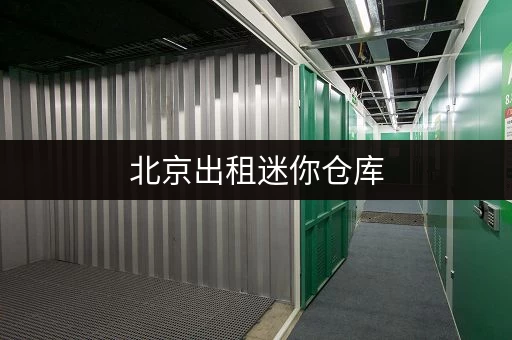 北京出租迷你仓库,考拉仓一站式服务超贴心 北京出租迷你仓库,考拉仓一站式服务超贴心