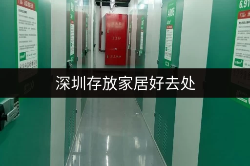 深圳存放家居好去处,考拉仓安全防潮超靠谱 深圳存放家居好去处,考拉仓安全防潮超靠谱