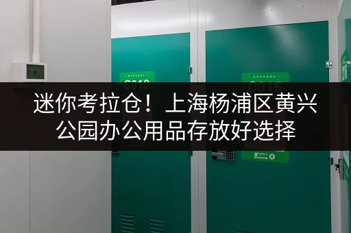 迷你考拉仓!上海杨浦区黄兴公园办公用品存放好选择 迷你考拉仓!上海杨浦区黄兴公园办公用品存放好选择