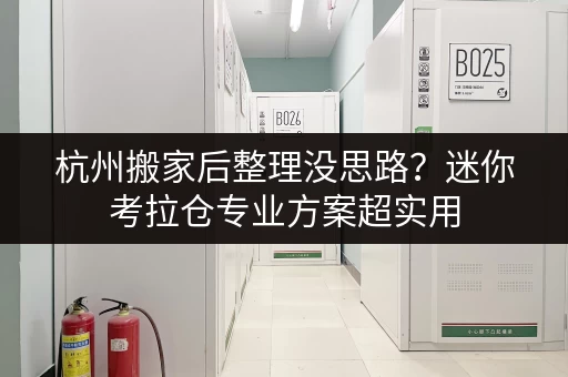 杭州搬家后整理没思路？迷你考拉仓专业方案超实用