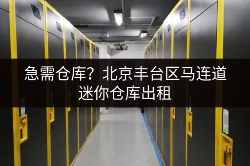 急需仓库?北京丰台区马连道迷你仓库出租,灵活租期超便利 急需仓库?北京丰台区马连道迷你仓库出租,灵活租期超便利