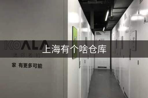 上海有个啥仓库，上海市区仓库