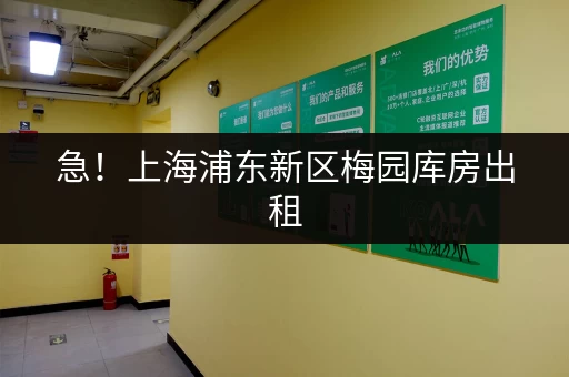 急！上海浦东新区梅园库房出租，电商货物、个人物品都能存