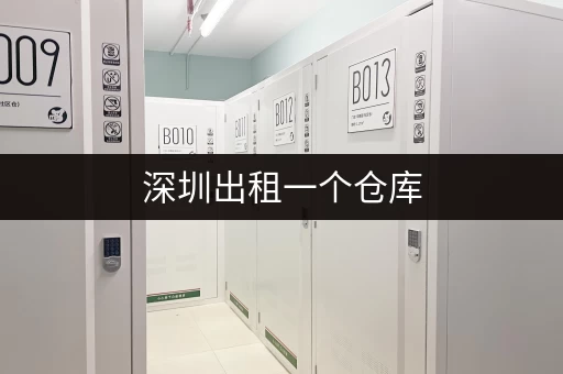 深圳出租一个仓库，大小任选，适合个人闲置与电商存货