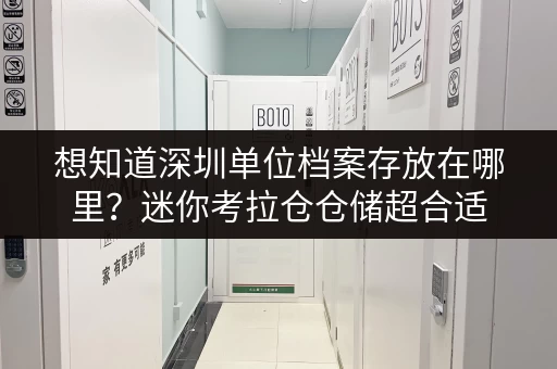 想知道深圳单位档案存放在哪里？迷你考拉仓仓储超合适