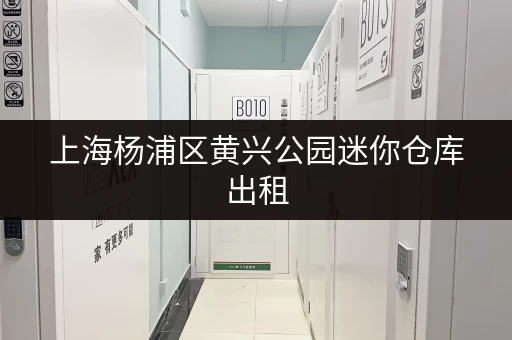 上海杨浦区黄兴公园迷你仓库出租，为您解决存储难题