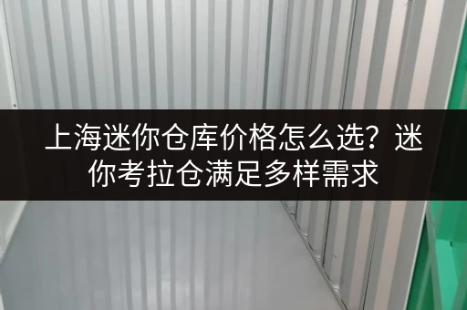 上海迷你仓库价格怎么选?迷你考拉仓满足多样需求 上海迷你仓库价格怎么选?迷你考拉仓满足多样需求