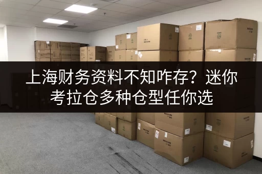 上海财务资料不知咋存？迷你考拉仓多种仓型任你选