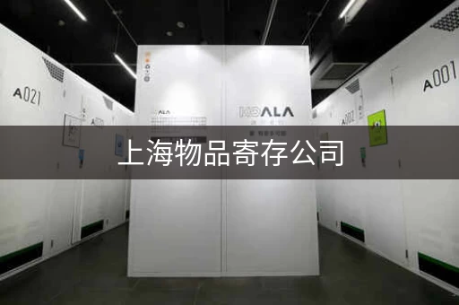 上海物品寄存公司，上海寄存包裹的地方