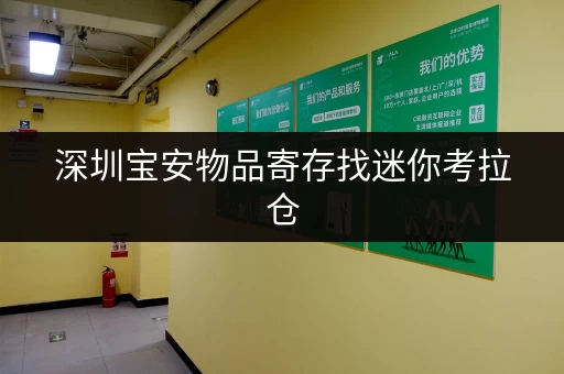 深圳宝安物品寄存找迷你考拉仓，正规管理有保障