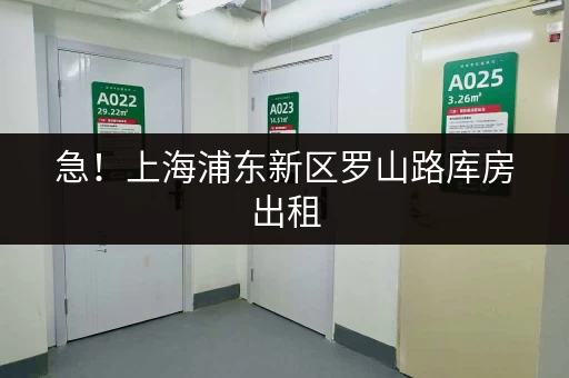 急!上海浦东新区罗山路库房出租,适合电商货物存储 急!上海浦东新区罗山路库房出租,适合电商货物存储