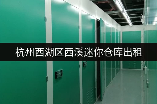 杭州西湖区西溪迷你仓库出租，安全便捷满足多样存储需求