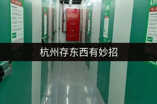 杭州存东西有妙招，迷你考拉仓大小仓库任你挑