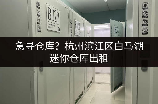 急寻仓库？杭州滨江区白马湖迷你仓库出租，价格实惠环境好