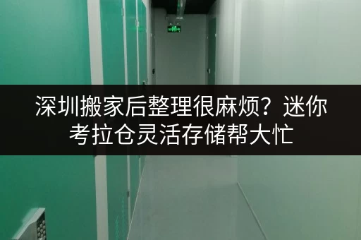 深圳搬家后整理很麻烦？迷你考拉仓灵活存储帮大忙