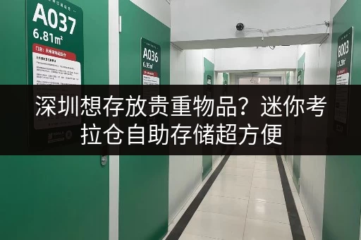 深圳想存放贵重物品？迷你考拉仓自助存储超方便