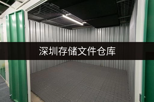 深圳存储文件仓库，24 小时监控保障文件安全无忧