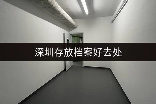 深圳存放档案好去处，考拉仓安全便捷又实惠