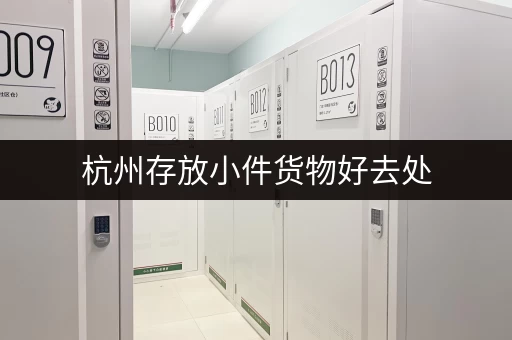 杭州存放小件货物好去处，迷你考拉仓环境好无中介