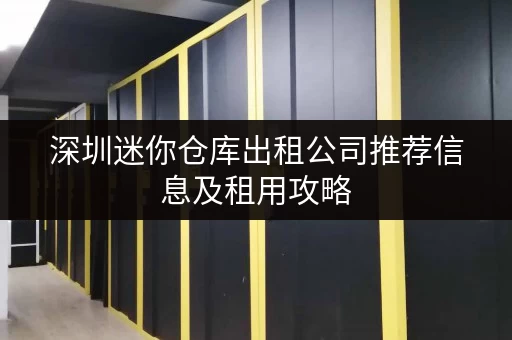 深圳迷你仓库出租公司推荐信息及租用攻略