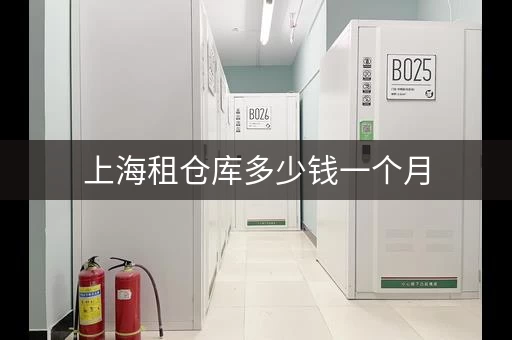 上海租仓库多少钱一个月，上海自助仓库出租价格多少