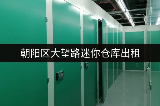 朝阳区大望路迷你仓库出租，一站式服务，解决你的存储难题