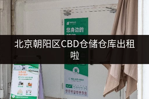 北京朝阳区CBD仓储仓库出租啦，迷你考拉仓满足多样存储需求