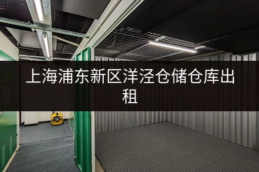 上海浦东新区洋泾仓储仓库出租，多种规格仓库满足不同需求