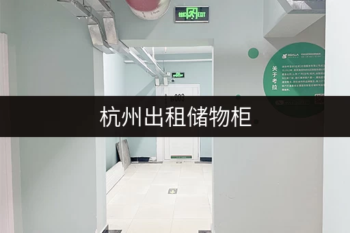 杭州出租储物柜，大小多样满足个人家庭企业存储需求