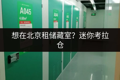 想在北京租储藏室？迷你考拉仓，一人一仓超方便