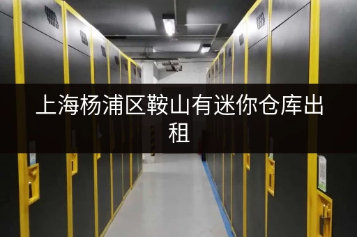 上海杨浦区鞍山有迷你仓库出租，价格实惠空间灵活