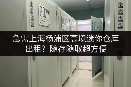 急需上海杨浦区高境迷你仓库出租？随存随取超方便
